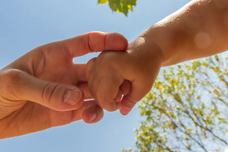 An adult and a child holding hands