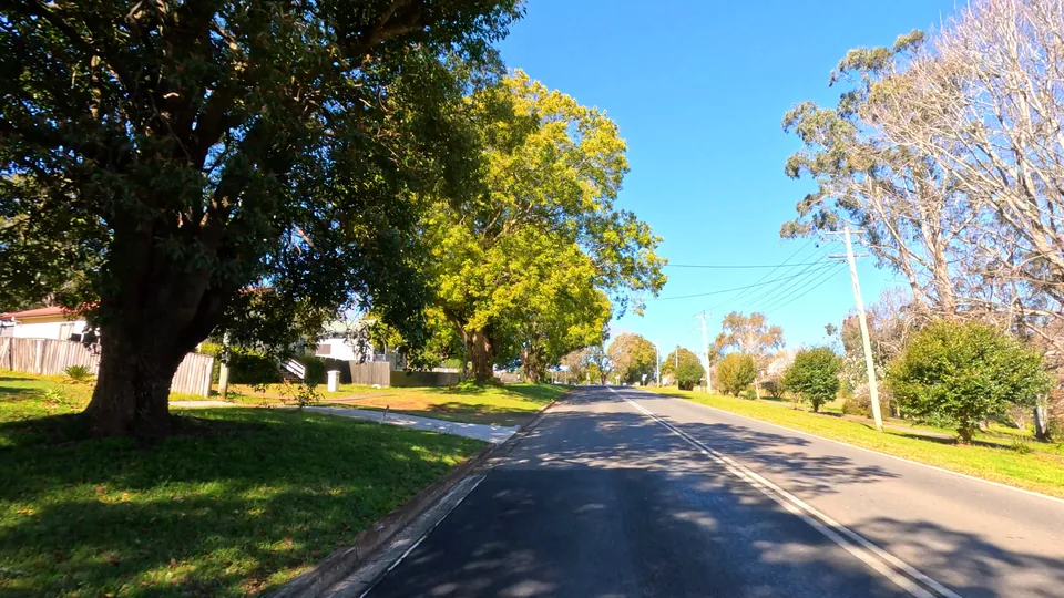 A tree-lined path in a neighbourhood park